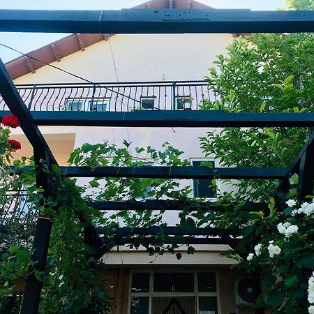 Vila A&S Hotell Costinesti Exteriör bild