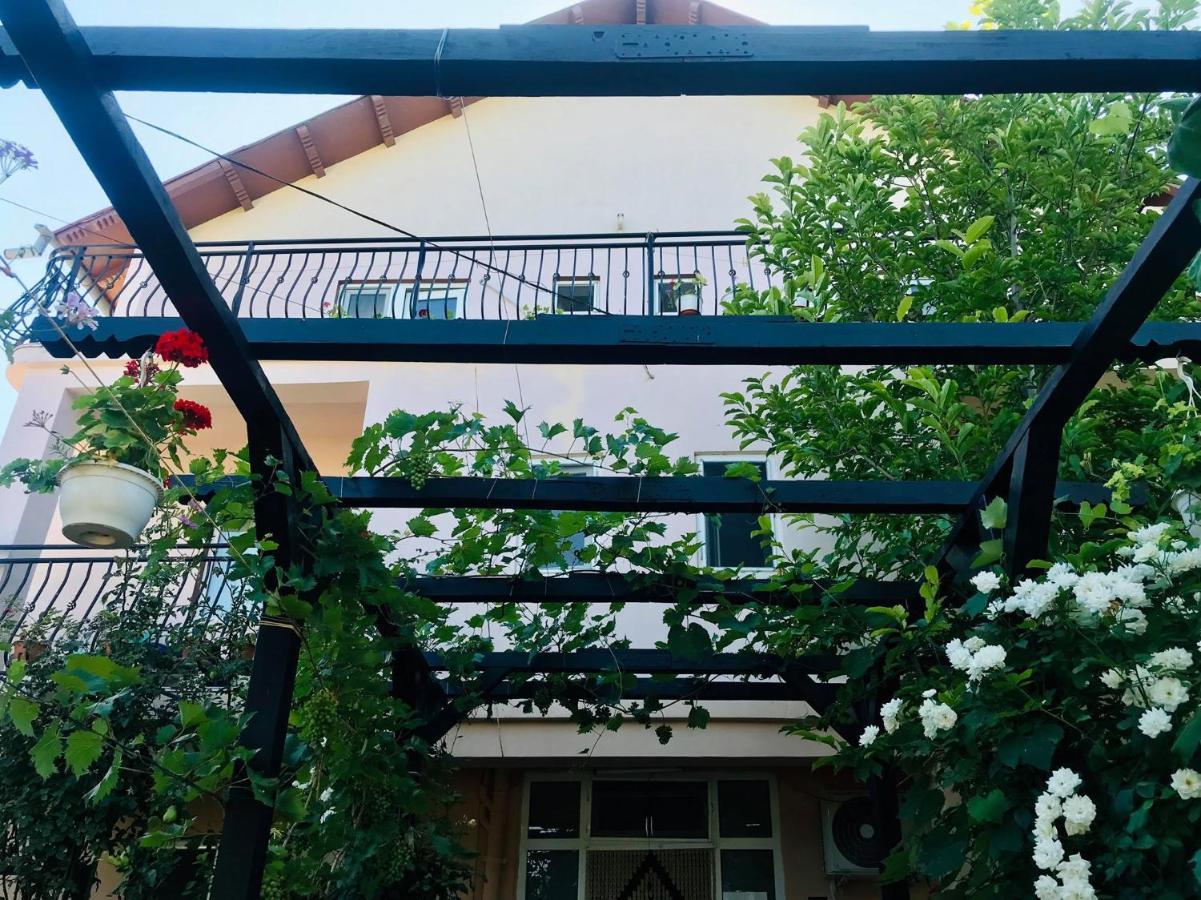 Vila A&S Hotell Costinesti Exteriör bild
