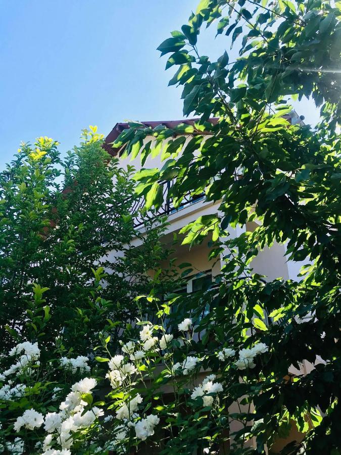 Vila A&S Hotell Costinesti Exteriör bild